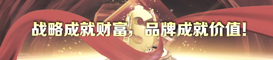 战略成就财富，品牌成就价值！-2