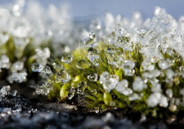 冬春过渡中年人穿鞋闷脚如何是好？什么鞋子保暖又透气？