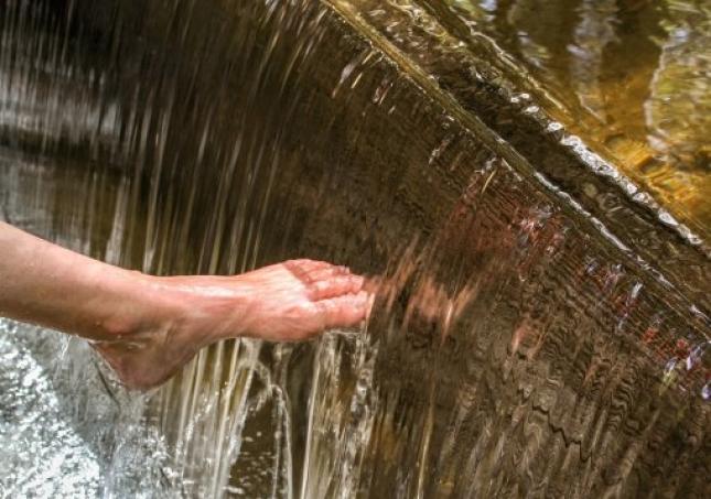 艾叶泡脚的方法-用艾草泡脚时，要记住禁忌哪些，很多人不懂，总是泡错？